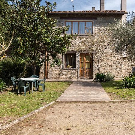 Agriturismo Il Ponte - Frantoio Vicchio Exterior foto